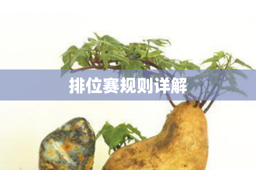 排位赛规则详解 排位赛规则详解
