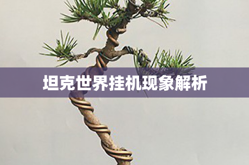 坦克世界挂机现象解析