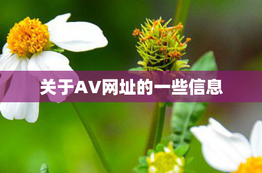 关于AV网址的一些信息