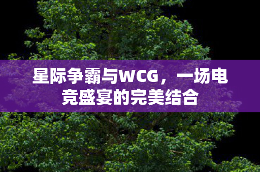 星际争霸与WCG，一场电竞盛宴的完美结合