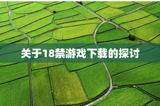 关于18禁游戏下载的探讨
