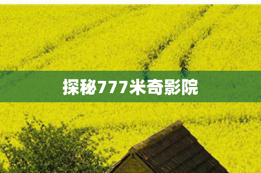 探秘777米奇影院