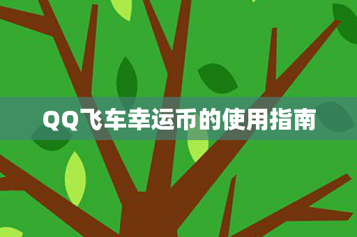 QQ飞车幸运币的使用指南