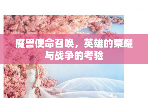 魔兽使命召唤，英雄的荣耀与战争的考验