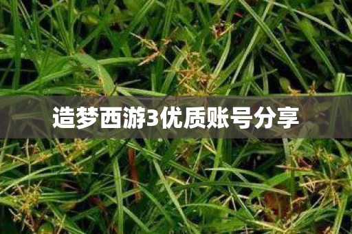 造梦西游3优质账号分享