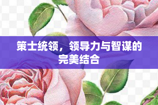 策士统领，领导力与智谋的完美结合