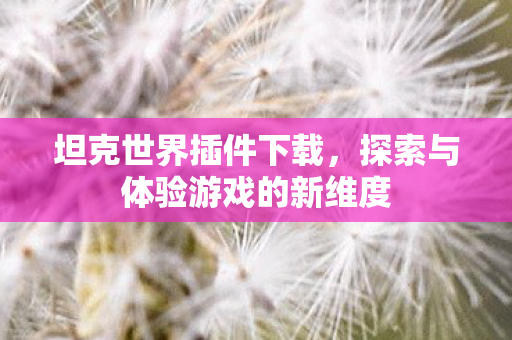 坦克世界插件下载，探索与体验游戏的新维度