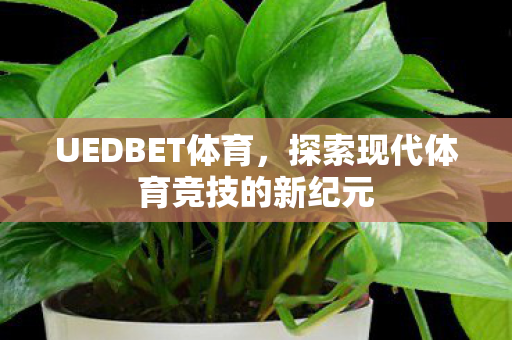 UEDBET体育，探索现代体育竞技的新纪元