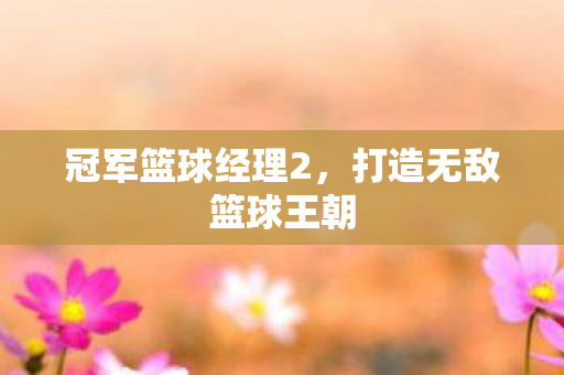 冠军篮球经理2，打造无敌篮球王朝