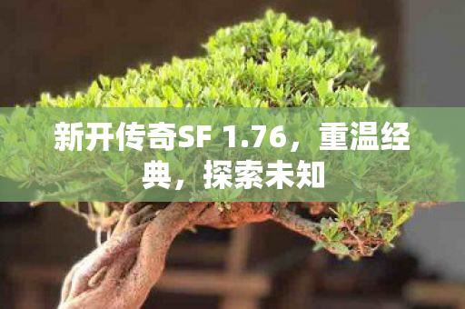 新开传奇SF 1.76，重温经典，探索未知
