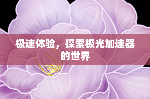 极速体验，探索极光加速器的世界