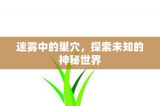 迷雾中的巢穴，探索未知的神秘世界