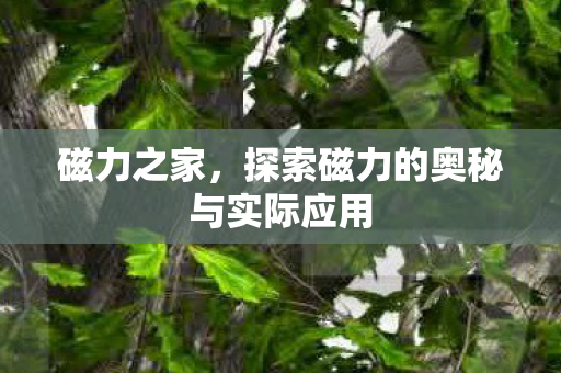 磁力之家，探索磁力的奥秘与实际应用
