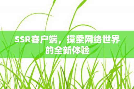 SSR客户端，探索网络世界的全新体验