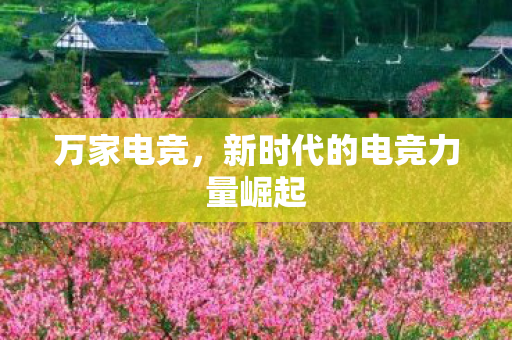 万家电竞，新时代的电竞力量崛起