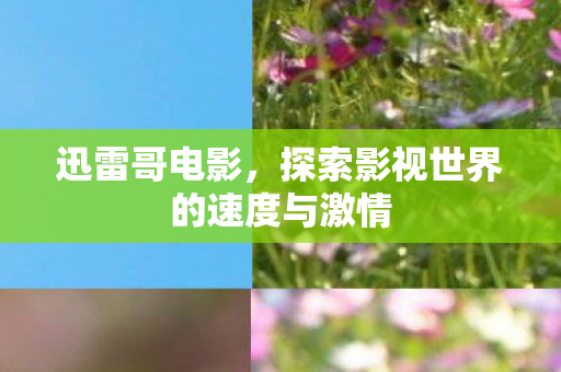 迅雷哥电影，探索影视世界的速度与激情