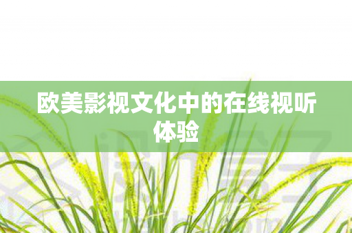 欧美影视文化中的在线视听体验