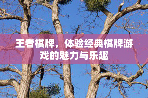 王者棋牌，体验经典棋牌游戏的魅力与乐趣