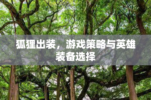 狐狸出装，游戏策略与英雄装备选择
