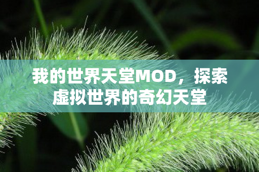 我的世界天堂MOD，探索虚拟世界的奇幻天堂
