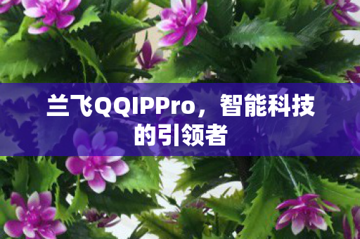 兰飞QQIPPro，智能科技的引领者