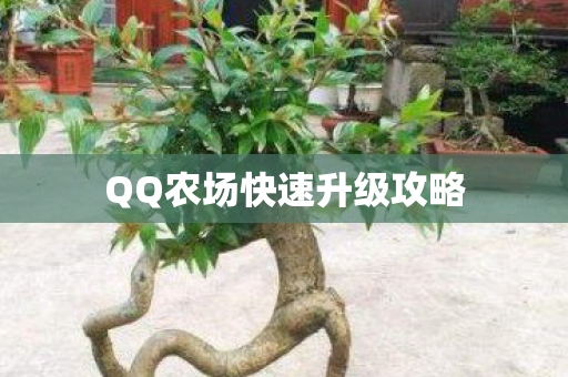 QQ农场快速升级攻略