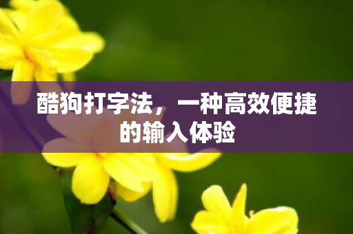 酷狗打字法，一种高效便捷的输入体验