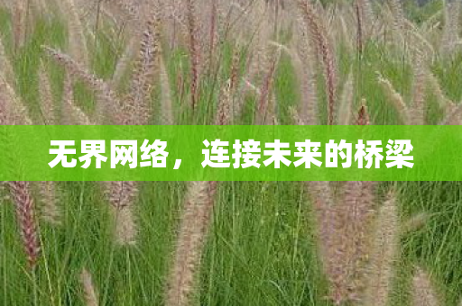 无界网络，连接未来的桥梁