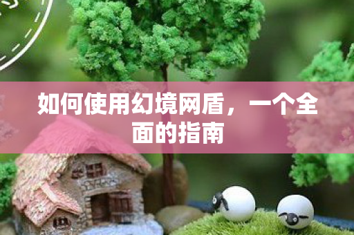 如何使用幻境网盾，一个全面的指南