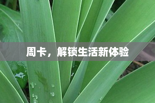 周卡，解锁生活新体验