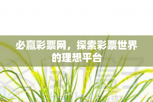 必赢彩票网，探索彩票世界的理想平台