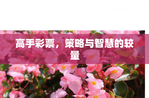 高手彩票，策略与智慧的较量