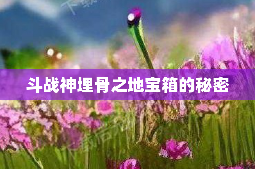 斗战神埋骨之地宝箱的秘密