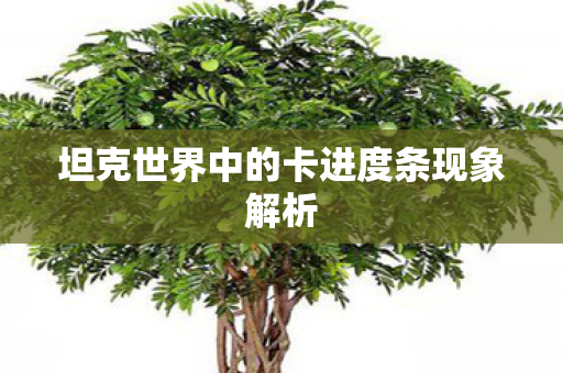 坦克世界中的卡进度条现象解析