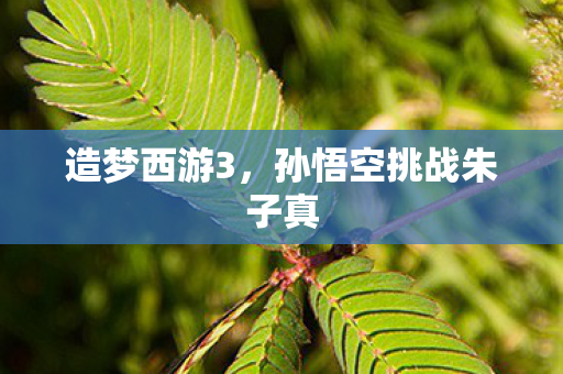 造梦西游3，孙悟空挑战朱子真