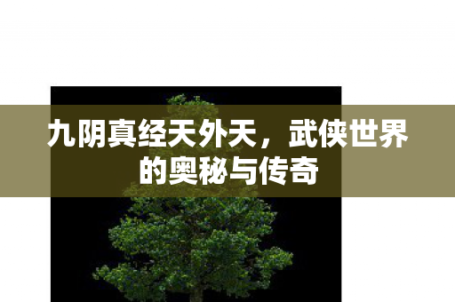 九阴真经天外天，武侠世界的奥秘与传奇