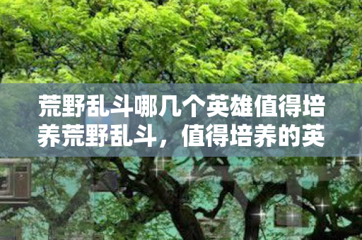荒野乱斗哪几个英雄值得培养荒野乱斗,值得培养的英雄解析 荒野乱斗哪几个英雄值得培养荒野乱斗,值得培养的英雄解析