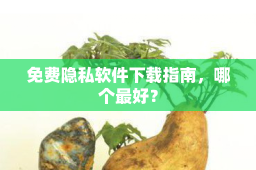 免费隐私软件下载指南，哪个最好？