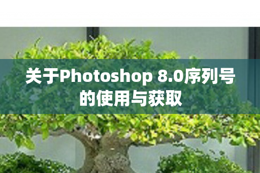 关于Photoshop 8.0序列号的使用与获取