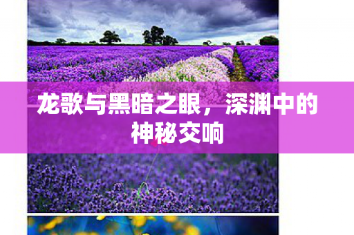 龙歌与黑暗之眼，深渊中的神秘交响
