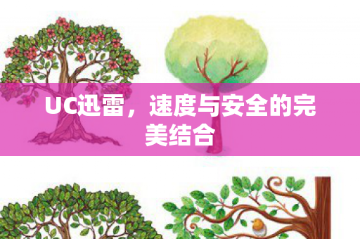 UC迅雷，速度与安全的完美结合