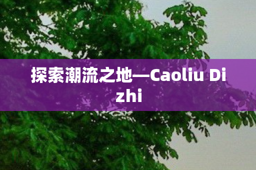 探索潮流之地—Caoliu Dizhi