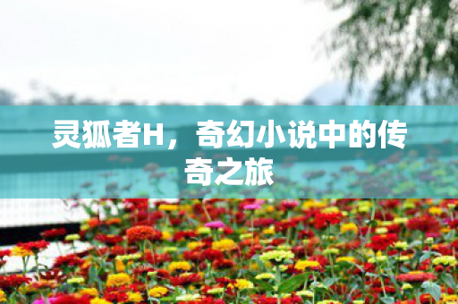 灵狐者H，奇幻小说中的传奇之旅