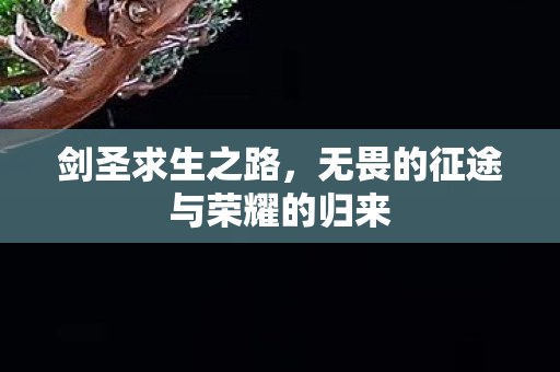 剑圣求生之路，无畏的征途与荣耀的归来