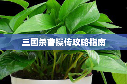 三国杀曹操传攻略指南