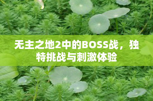 无主之地2中的BOSS战，独特挑战与刺激体验