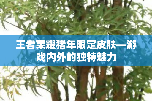 王者荣耀猪年限定皮肤—游戏内外的独特魅力