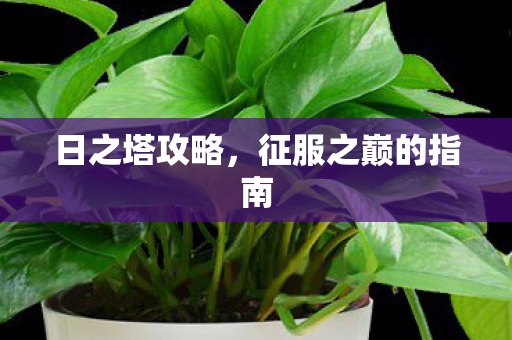 日之塔攻略，征服之巅的指南