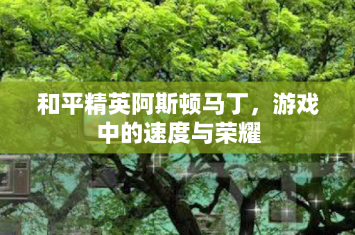 和平精英阿斯顿马丁，游戏中的速度与荣耀