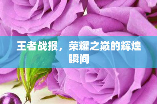 王者战报，荣耀之巅的辉煌瞬间